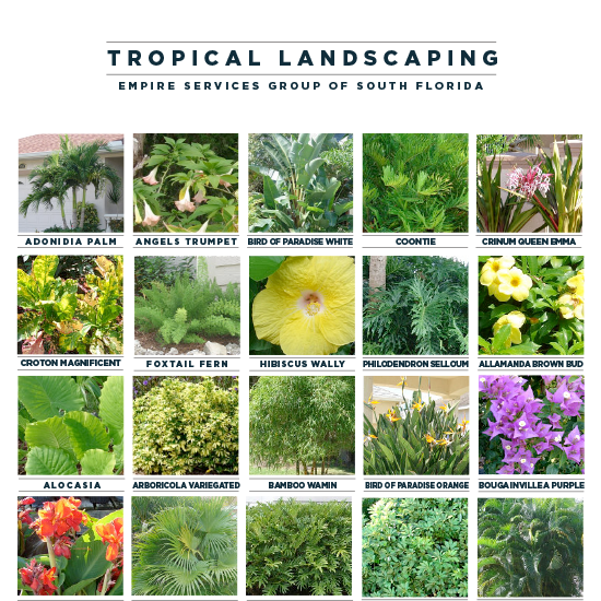 ESG Tropical Landscaping Options